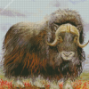 Musk Ox Art diamond painting