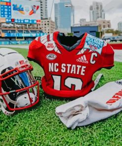 NC State Wolfpack Outfit diamond painting