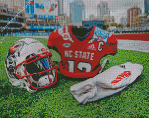 NC State Wolfpack Outfit diamond painting