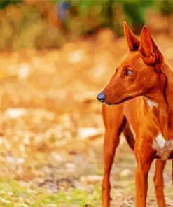 Podenco Dog Animal diamond painting