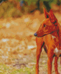 Podenco Dog Animal diamond painting