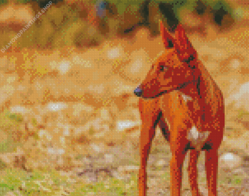 Podenco Dog Animal diamond painting