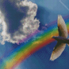 Rainbow With Dove diamond painting