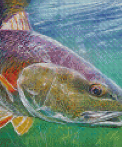 Redfish Drum Art diamond painting