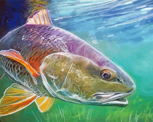 Redfish Drum Art diamond painting