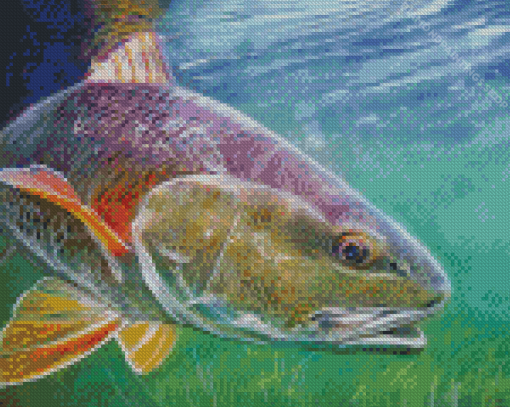 Redfish Drum Art diamond painting