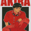 Shotaro Kaneda Akira diamond painting