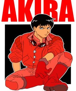 Shotaro Kaneda Akira diamond painting