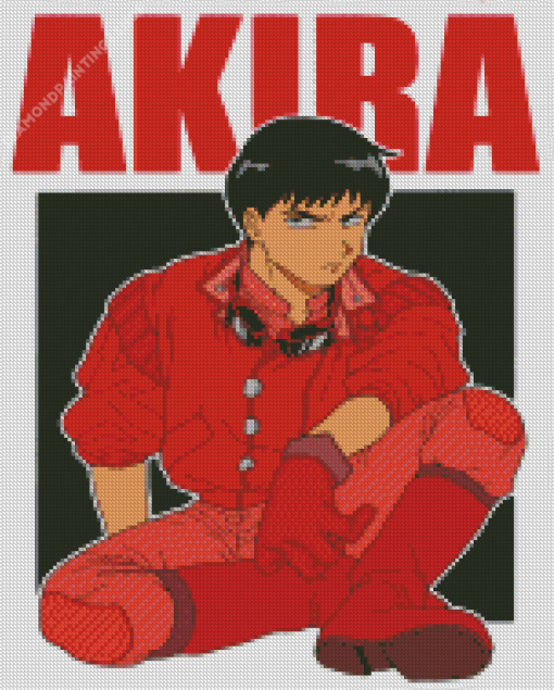 Shotaro Kaneda Akira diamond painting