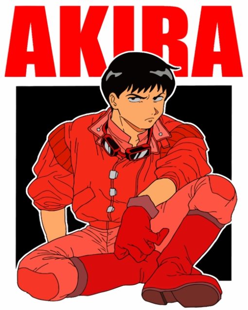 Shotaro Kaneda Akira diamond painting