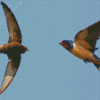 Swifts And Swallows diamond painting