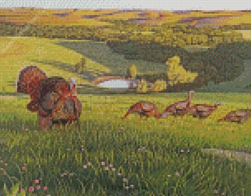 Turkeys Flint Hills diamond painting