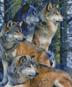 Wolf Pack Animals diamond painting