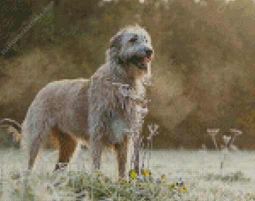 Wolfhound Dog diamond painting