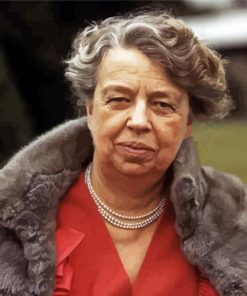 Aesthetic Eleanor Roosevelt Art diamond painting