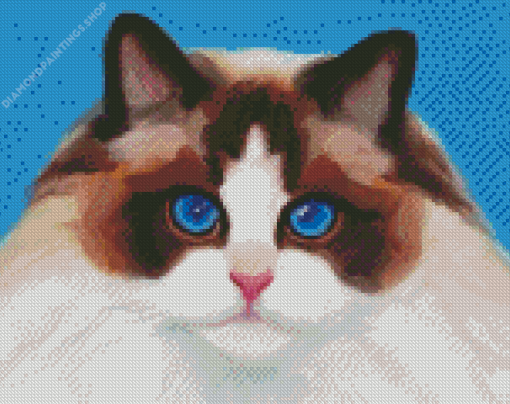 Aesthetic Ragdoll Cat diamond painting
