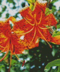 Aesthetic Tiger Lilies diamond painting