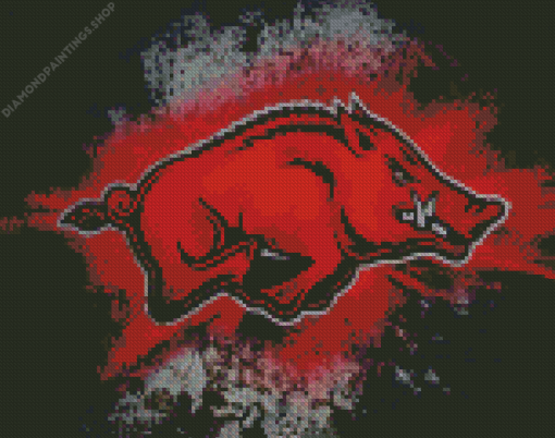 Arkansas Logo diamond painting