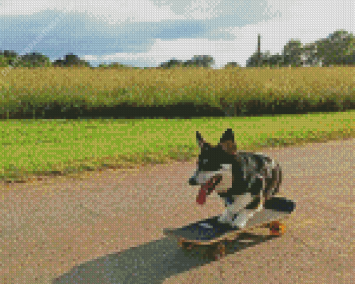 Beautiful Dog Skateboard diamond painting