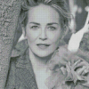 Black And White Sharon Stone diamond painting