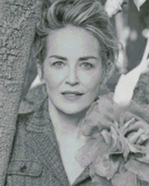 Black And White Sharon Stone diamond painting