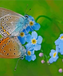 Butterflies On Forget Me Nots Flowers diamond painting