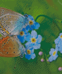 Butterflies On Forget Me Nots Flowers diamond painting