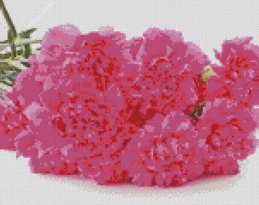 Dark Pink Carnation diamond painting
