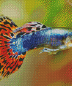 Guppy Fish diamond painting