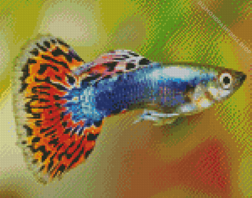 Guppy Fish diamond painting