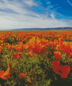 Orange Flowers In Field diamond painting