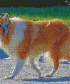 Rough Collie Holding Ball In His Mouth diamond painting
