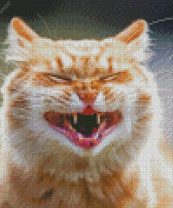 Smiling Cat diamond painting