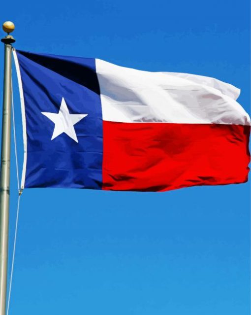 Texas Flags diamond painting