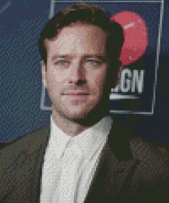 The American Actor Armie Hammer diamond painting