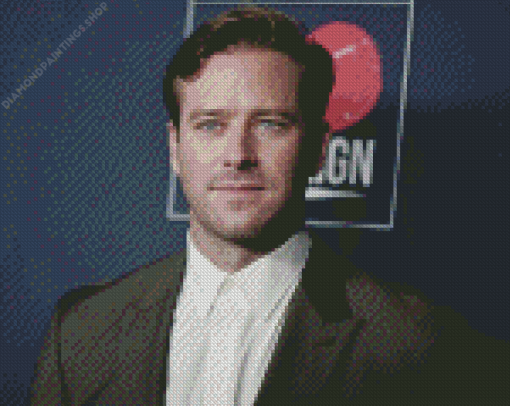 The American Actor Armie Hammer diamond painting