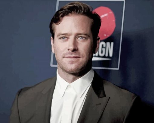 The American Actor Armie Hammer diamond painting