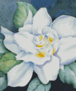 White Gardenia Flower diamond painting