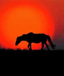 Wild Sunset Horse diamond painting