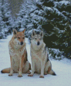 Wolves In The Snow diamond painting