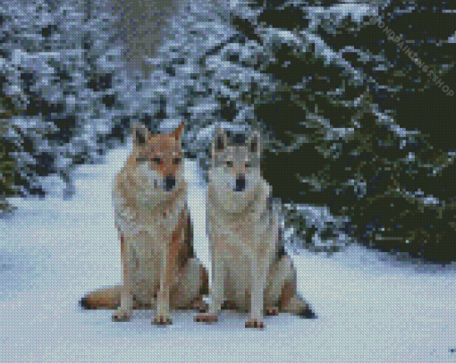 Wolves In The Snow diamond painting