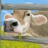 Cow By Fence diamond painting