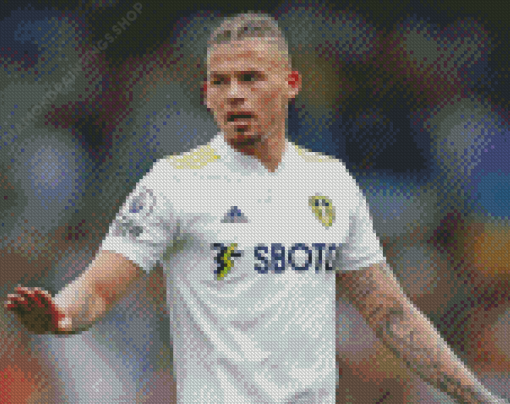 Kalvin Phillips Player diamond painting