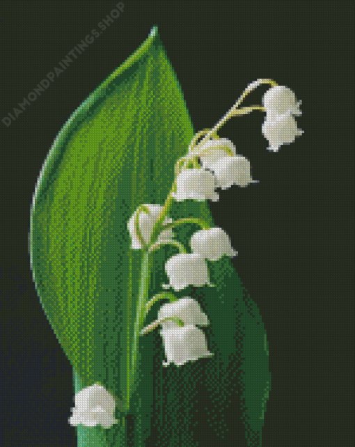 Lily Of The Valley Flowers diamond painting