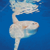 Mola Fish diamond painting