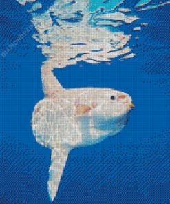 Mola Fish diamond painting