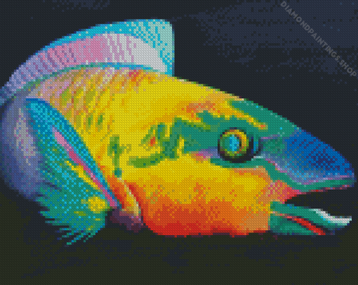 Parrot Fish Art Illustration diamond painting