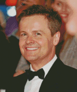Television Presenter Declan Donnelly diamond painting