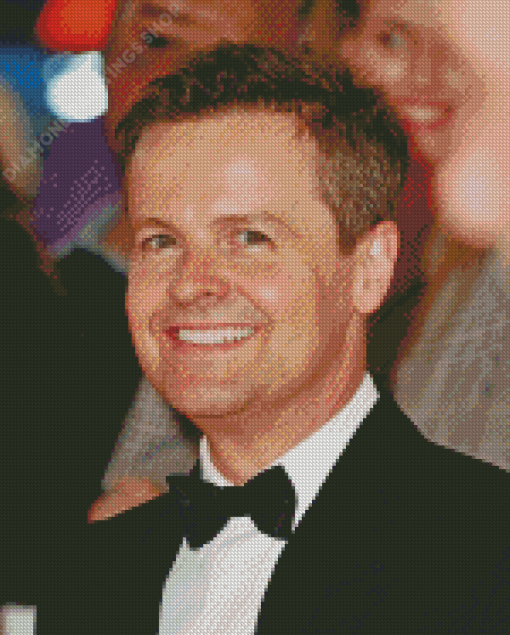 Television Presenter Declan Donnelly diamond painting