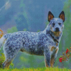 Adorable Australia Cattle Dog diamond painting